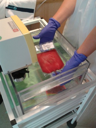 zakje 1 van de stamcellen