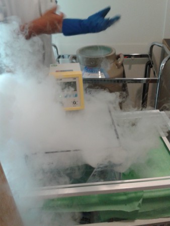 ontdooien van de stamcellen